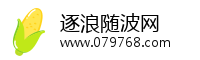 逐浪随波网